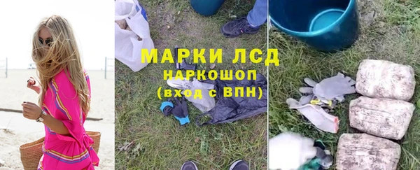стаф Алексин